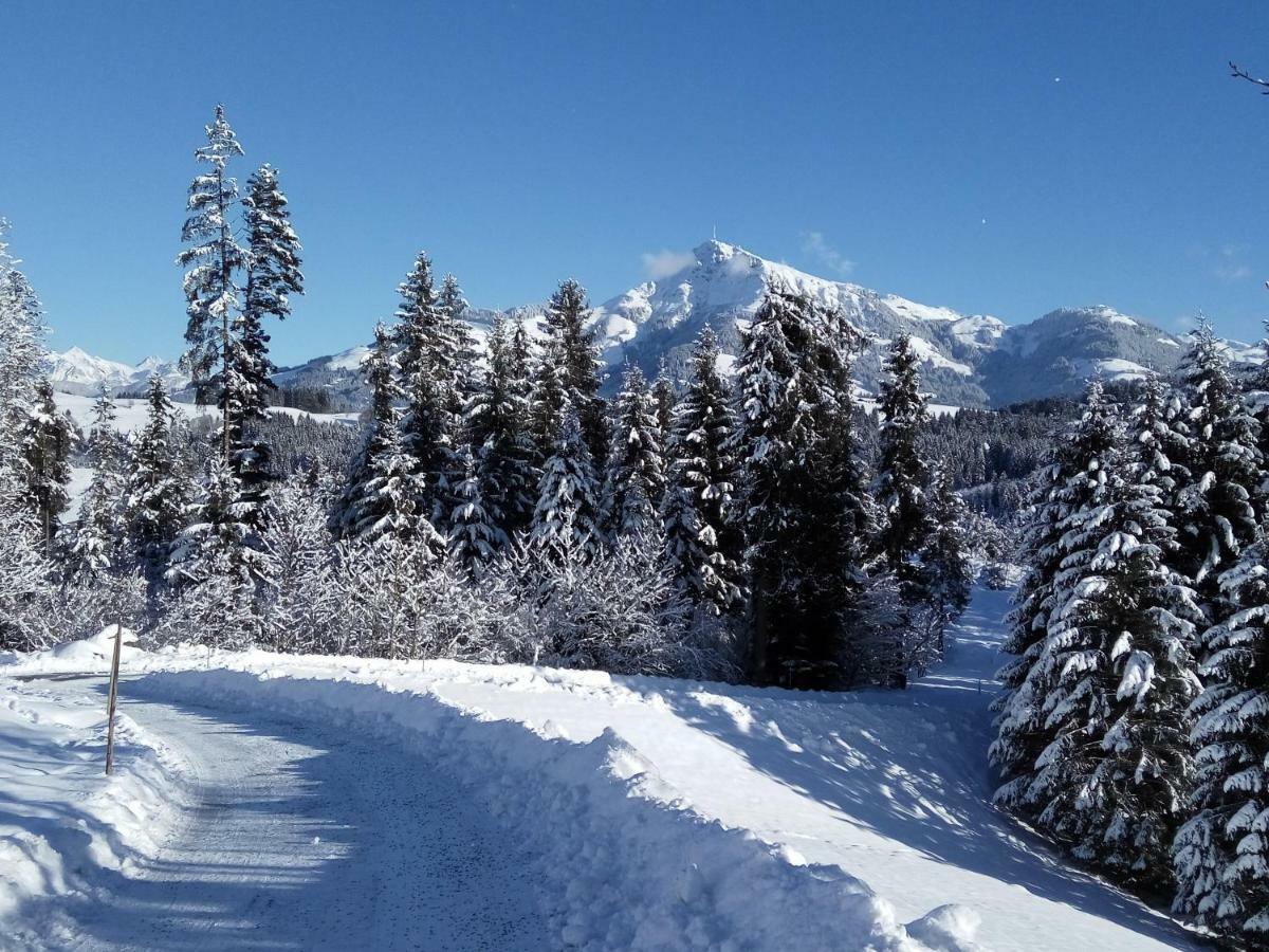 Marie Luise, Landhaus Reith bei Kitzbuehel Ngoại thất bức ảnh